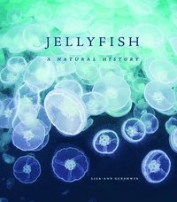 bokomslag Jellyfish: A Natural History