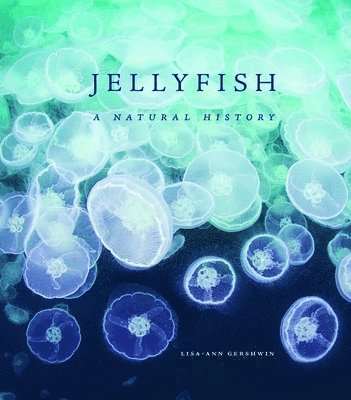 bokomslag Jellyfish