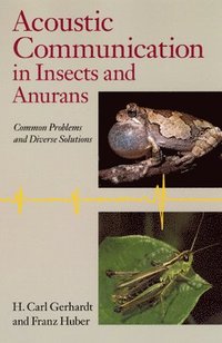 bokomslag Acoustic Communication in Insects and Anurans