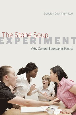 bokomslag The Stone Soup Experiment