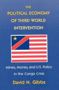 bokomslag The Political Economy of Third World Intervention