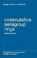 bokomslag Commutative Semigroup Rings
