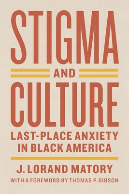 bokomslag Stigma and Culture  LastPlace Anxiety in Black America