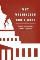 bokomslag Why Washington Won't Work