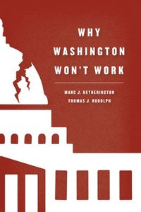 bokomslag Why Washington Won't Work