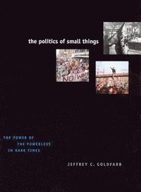 bokomslag The Politics of Small Things