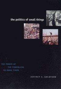 bokomslag The Politics of Small Things