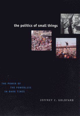 The Politics of Small Things 1