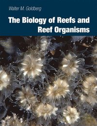 bokomslag The Biology of Reefs and Reef Organisms