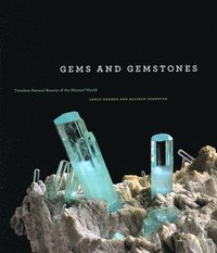 bokomslag Gems and Gemstones