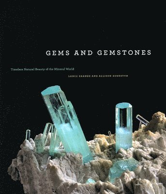 Gems and Gemstones 1