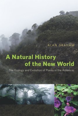 A Natural History of the New World  The Ecology and Evolution of Plants in the Americas 1