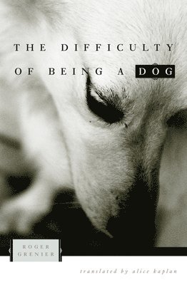 Roger Grenier - Difficulty of Being a Dog, Häftad