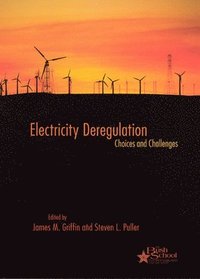bokomslag Electricity Deregulation