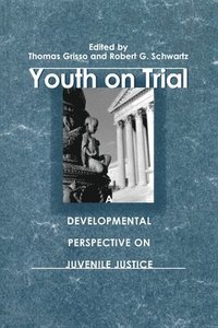 bokomslag Youth on Trial