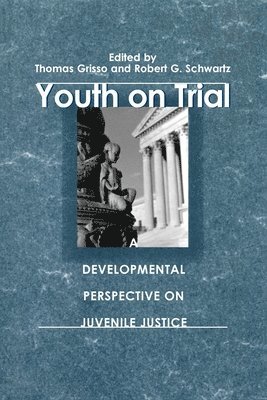 Thomas Grisso, Robert G. Schwartz - Youth on Trial, Häftad