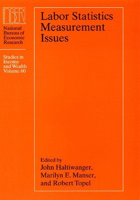 bokomslag Labor Statistics Measurement Issues