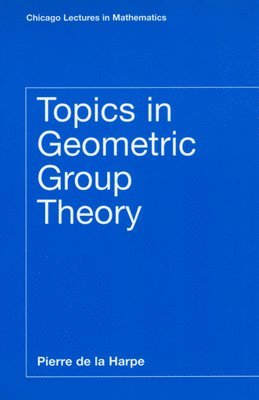 bokomslag Topics in Geometric Group Theory