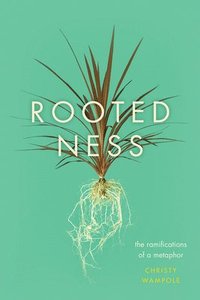 bokomslag Rootedness