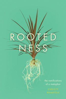 Rootedness 1