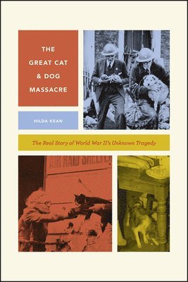 Hilda Kean - Great Cat and Dog Massacre, Inbunden