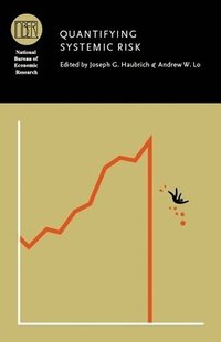 bokomslag Quantifying Systemic Risk