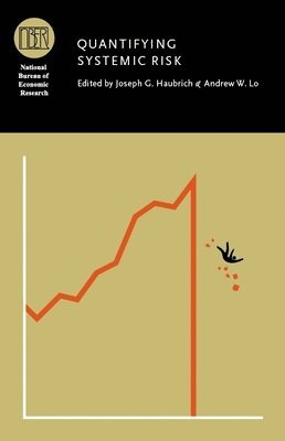 bokomslag Quantifying Systemic Risk