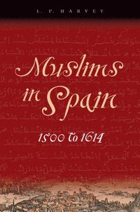 bokomslag Muslims in Spain, 1500 to 1614