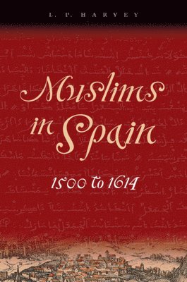 bokomslag Muslims in Spain, 1500 to 1614