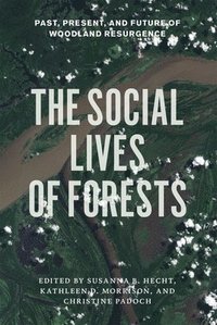 bokomslag The Social Lives of Forests