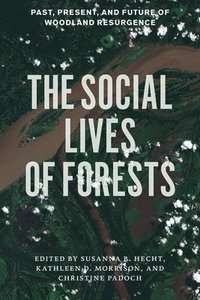 bokomslag The Social Lives of Forests