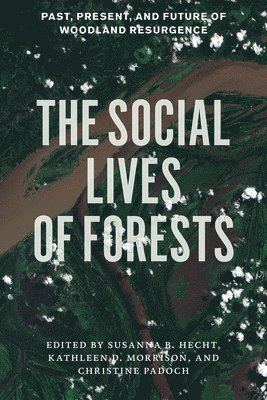Susanna B. Hecht, Kathleen D. Morrison, Christine Padoch - Social Lives of Forests, Häftad