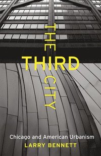 bokomslag The Third City