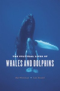 bokomslag The Cultural Lives of Whales and Dolphins