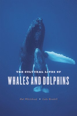 bokomslag The Cultural Lives of Whales and Dolphins