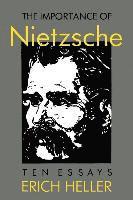 bokomslag The Importance of Nietzsche