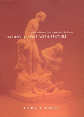 bokomslag Falling in Love with Statues