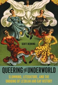bokomslag Queering the Underworld