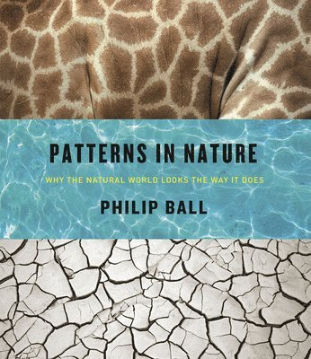 Philip Ball - Patterns in Nature, Inbunden