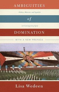 bokomslag Ambiguities of Domination