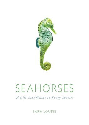 Seahorses 1