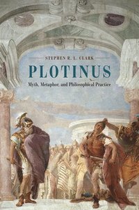 bokomslag Plotinus