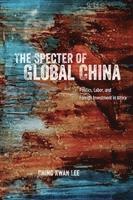 The Specter of Global China 1