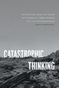 bokomslag Catastrophic Thinking
