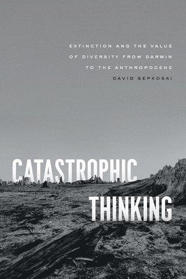 Catastrophic Thinking 1