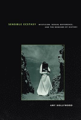 Amy Hollywood - Sensible Ecstasy, Inbunden