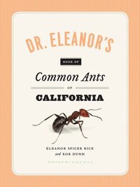 bokomslag Dr. Eleanor's Book of Common Ants of California