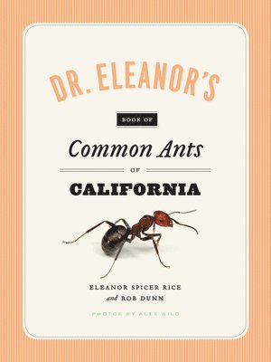Eleanor Spicer Rice, Alex Wild, Rob Dunn - Dr. Eleanor's Book of Common Ants of California, Häftad