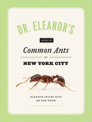 Eleanor Spicer Rice, Alex Wild, Rob Dunn - Dr. Eleanor's Book of Common Ants of New York City, Häftad