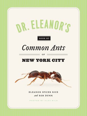 Dr. Eleanor's Book of Common Ants of New York City 1